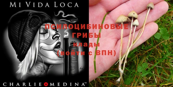 мдма Зеленокумск