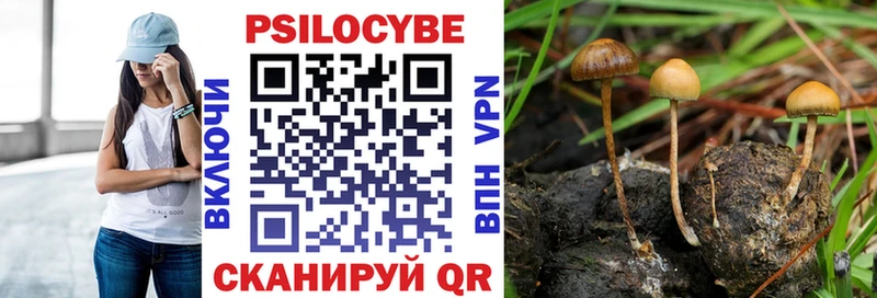 даркнет сайт Орск Галлюциногенные грибы Psilocybe
